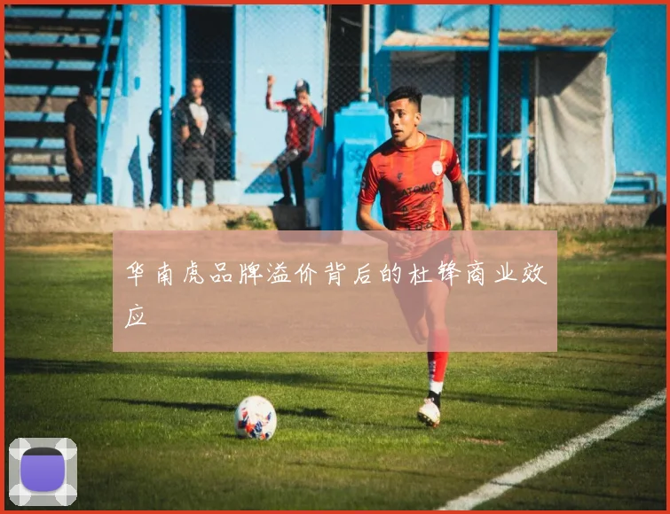 华南虎品牌溢价背后的杜锋商业效应