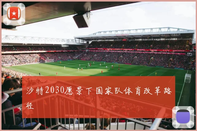 沙特2030愿景下国家队体育改革路径