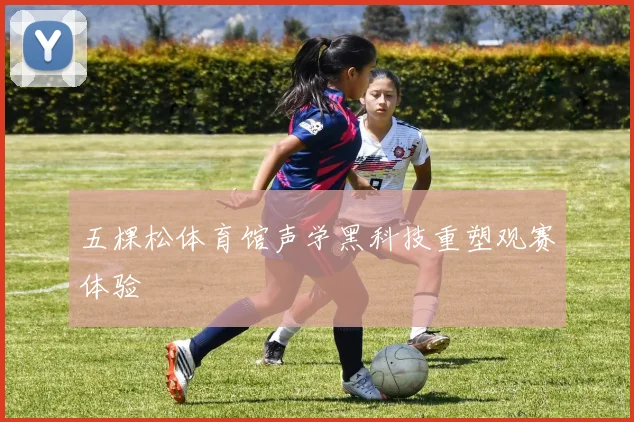 五棵松体育馆声学黑科技重塑观赛体验